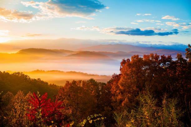 Holiday home Dog Friendly, Romantic Mtn Getaway Hot Tub Pool