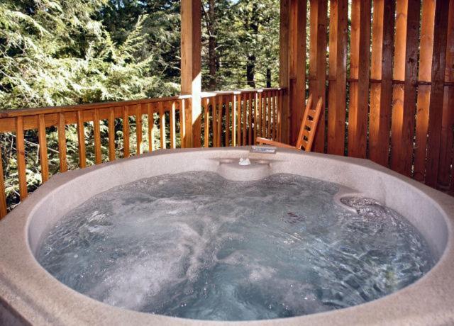 Honey Bear Hideaway * Gatlinburg