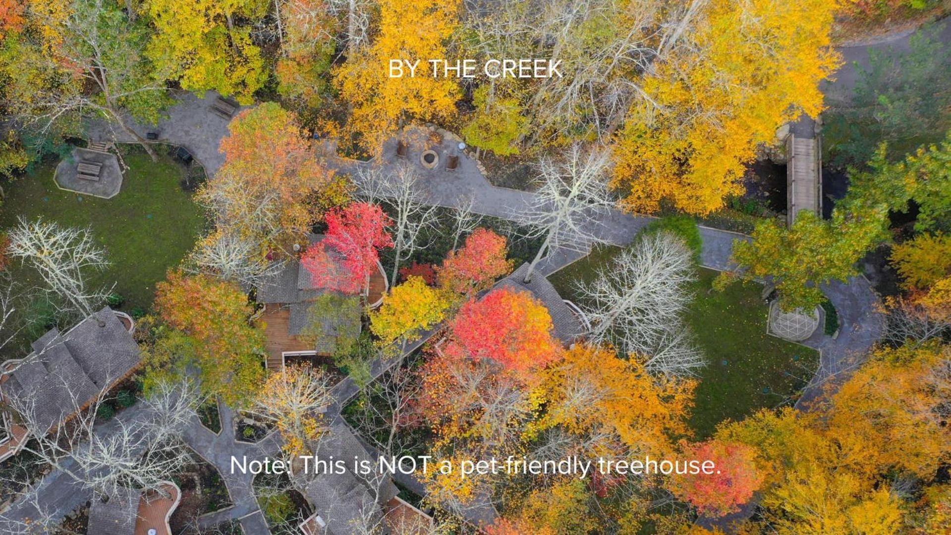 The Dogwood In Treehouse Grove At Norton Creek Gatlinburg