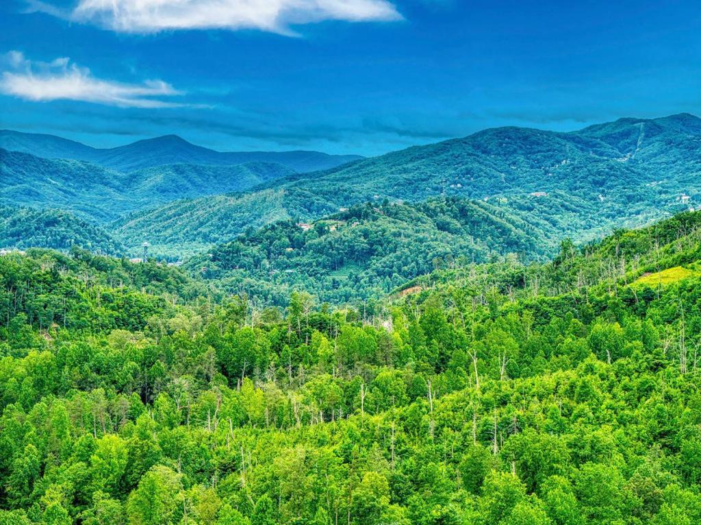 Holiday home It's 5 O'clock Somewhere Hot Tub, Theater Room,1089 Free Tickets Each Paid Day, Dollywood And Gatlinburg