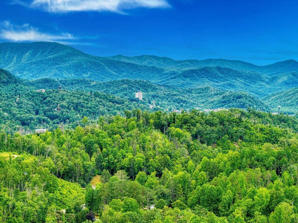 It's 5 O'clock Somewhere Hot Tub, Theater Room,1089 Free Tickets Each Paid Day, Dollywood And Holiday home Gatlinburg