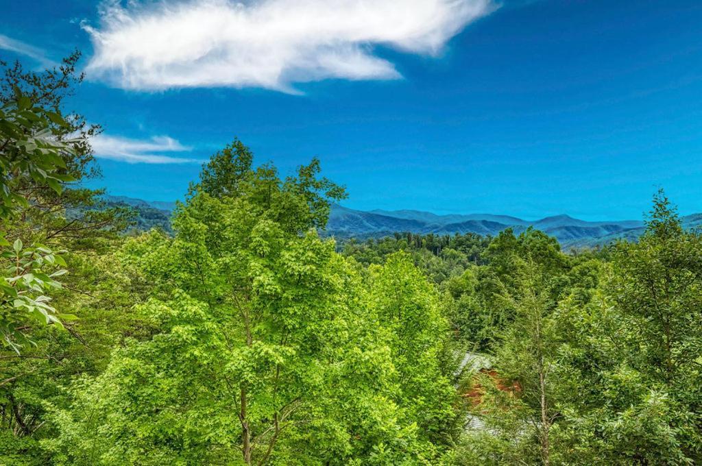 It's 5 O'clock Somewhere Hot Tub, Theater Room,1089 Free Tickets Each Paid Day, Dollywood And * Gatlinburg