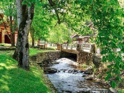 Downtown Prime Location Walk Everywhere In Gatlinburg3bed3bath Sleeps 8 * Gatlinburg