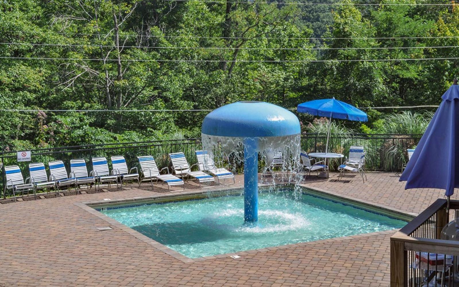 Cozy Bear 856 Villa Gatlinburg