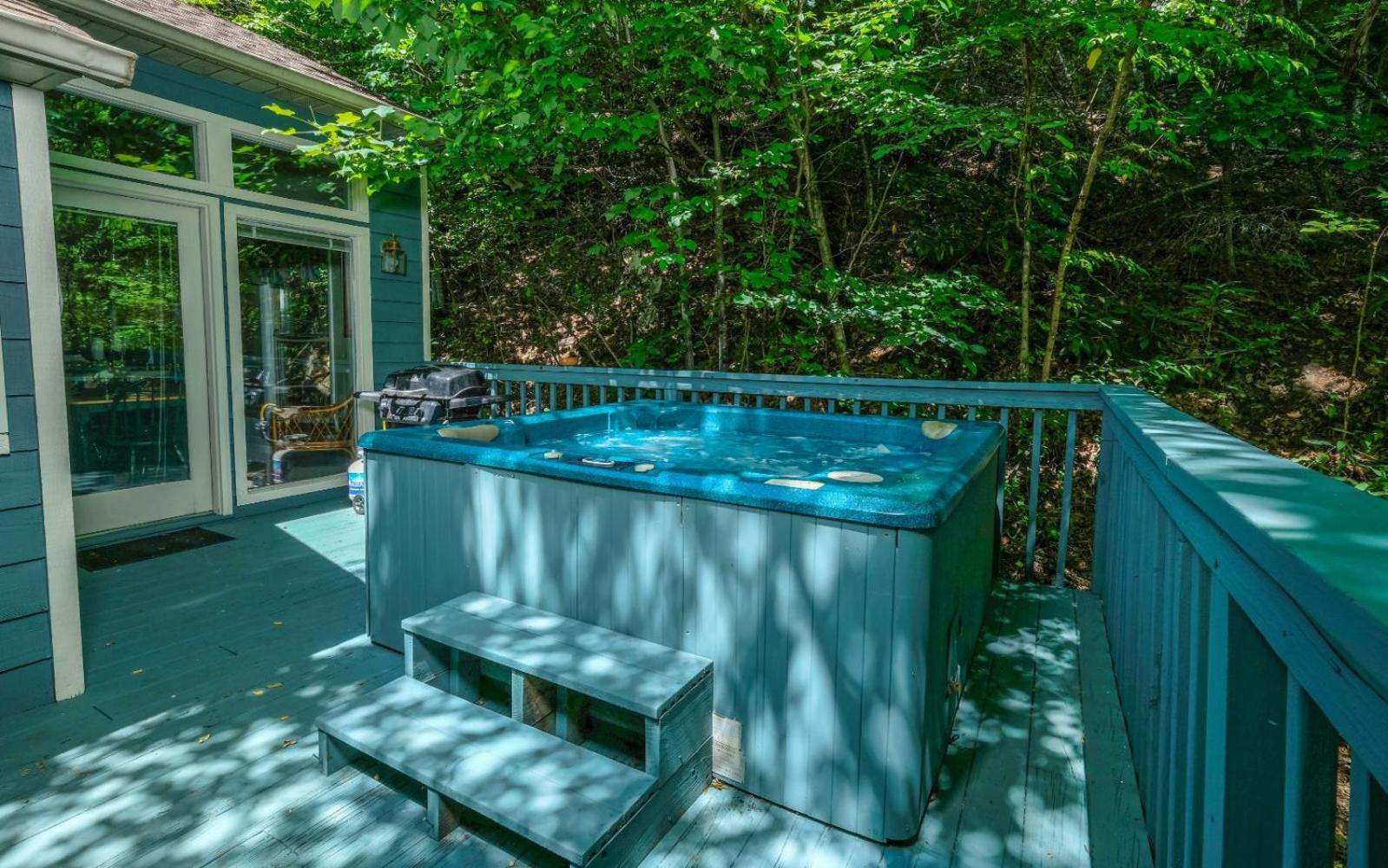 Villa Mountain Hideaway 1154