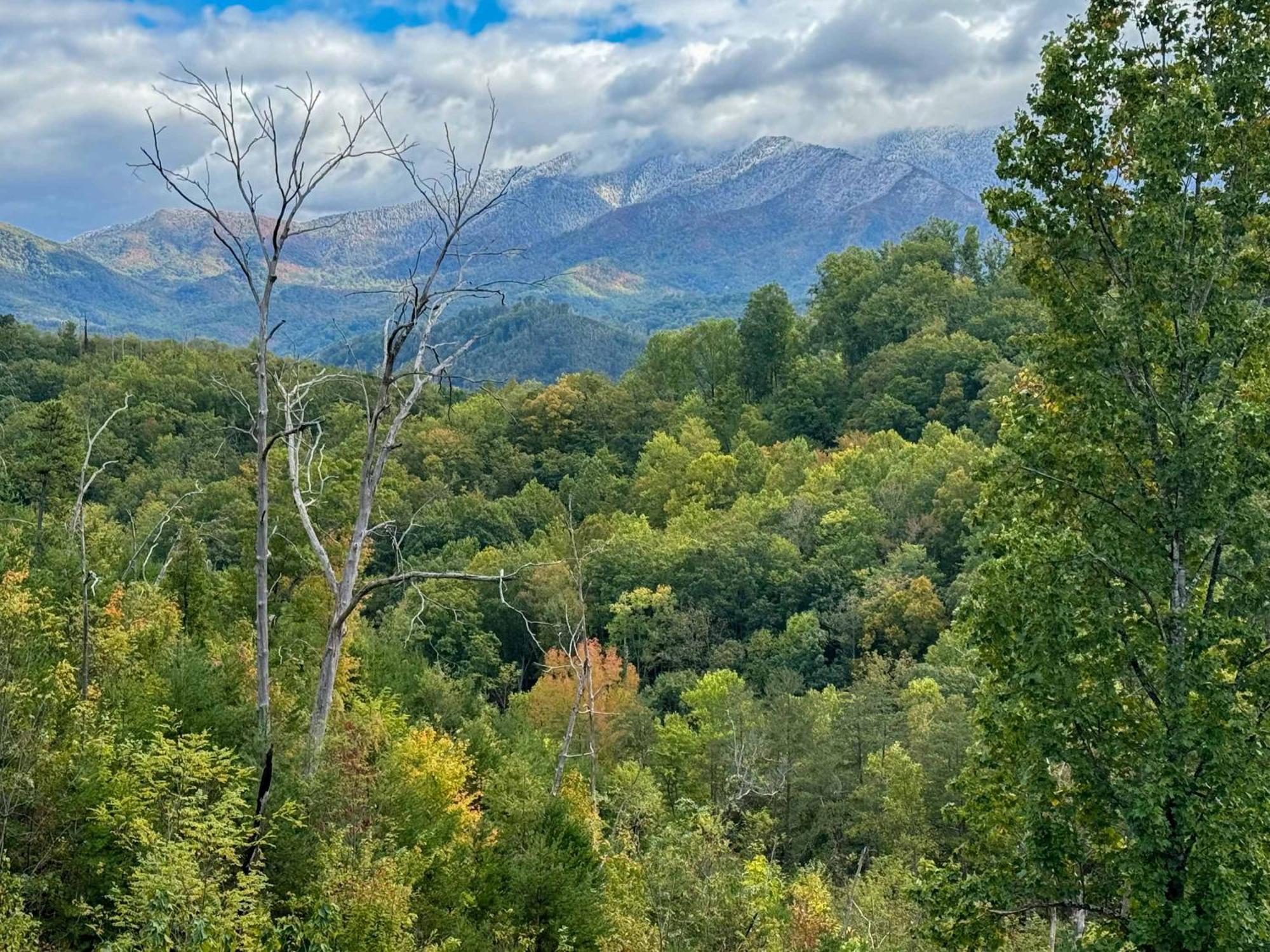 New Luxury - - Mountain View! *