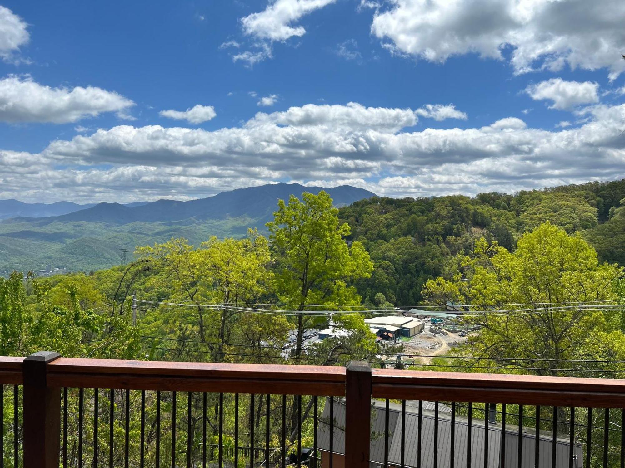 Classy Bear Gatlinburg