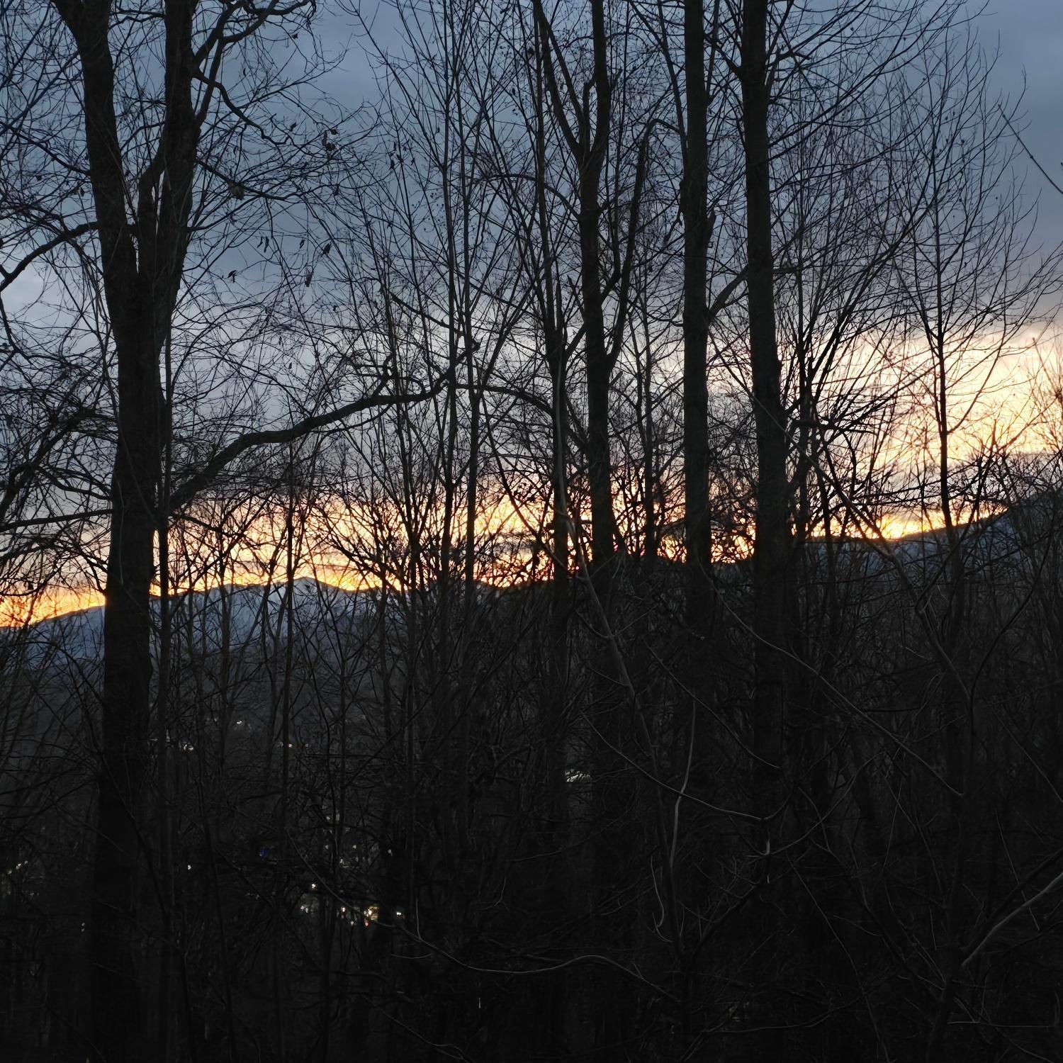 Whispering Bears * Gatlinburg