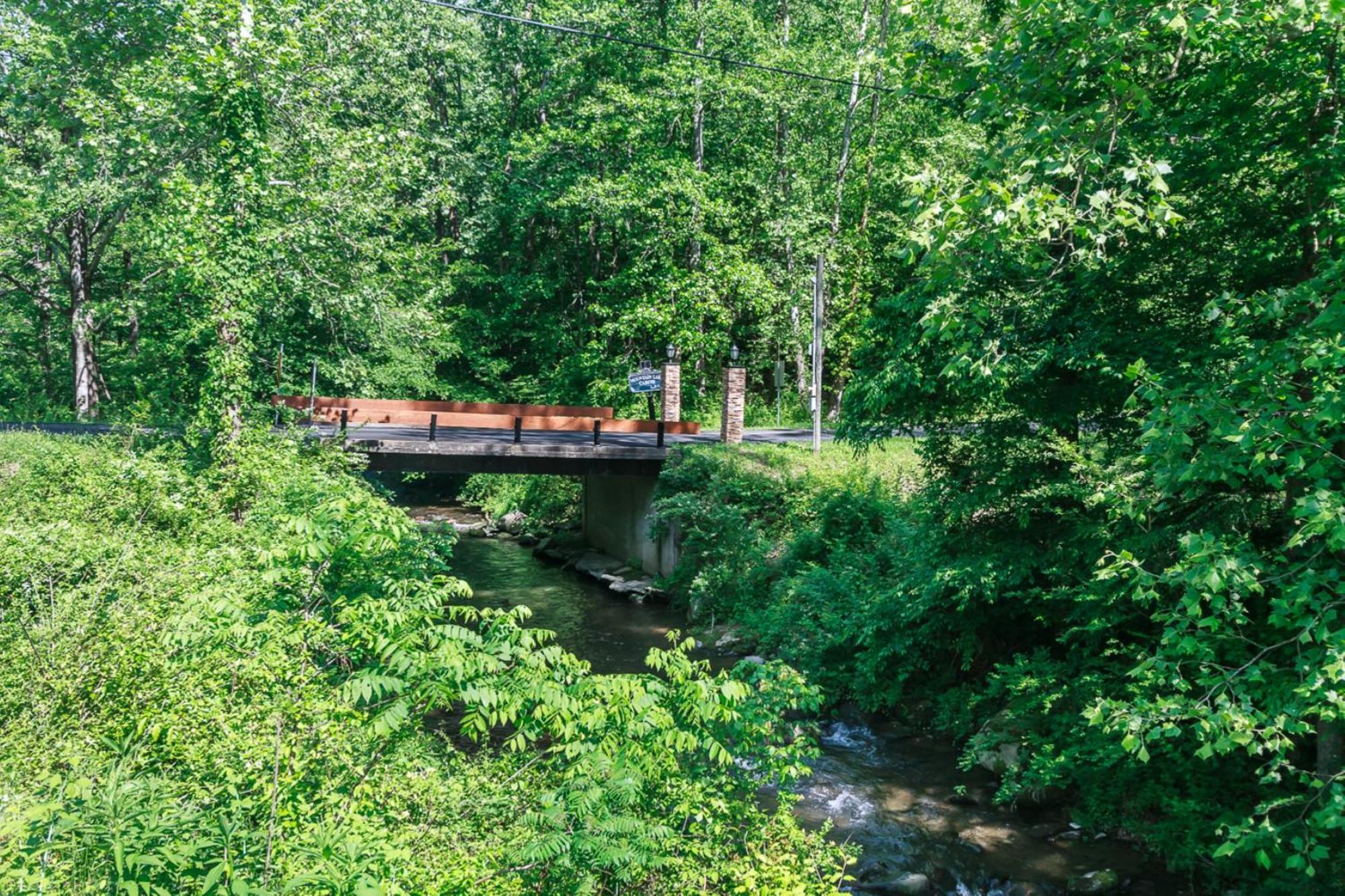 Bear Necessity By Stony Brook *