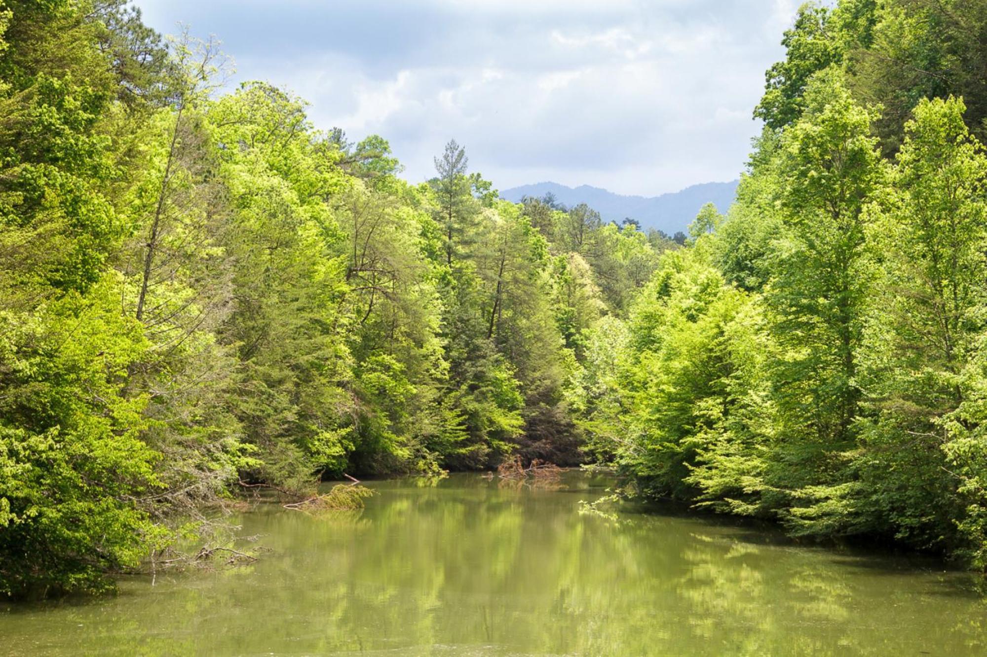 Trail Head By Stony Brook Gatlinburg