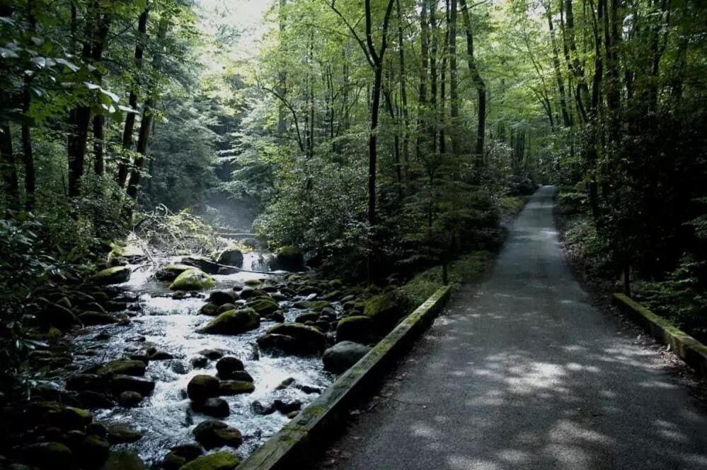 View Bears - Gatlinburg! Serene With Views, Hottub, Gameroom *