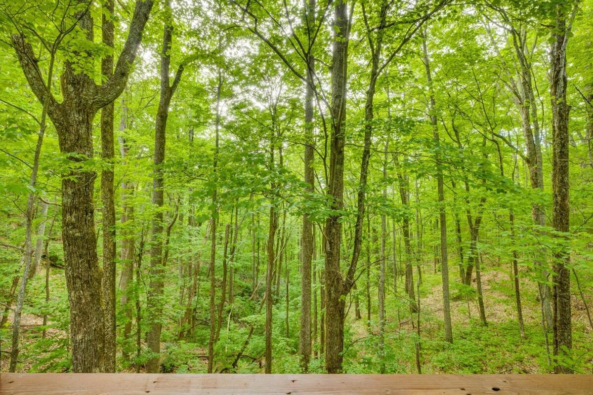 View Bears - Gatlinburg! Serene With Views, Hottub, Gameroom Holiday home *