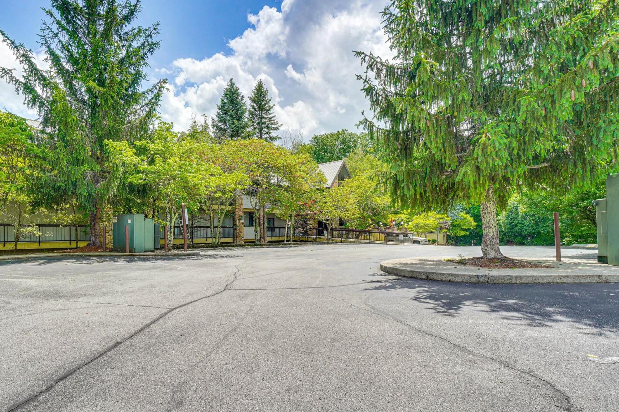 Hike, Swim And Explore Mtn-view In *