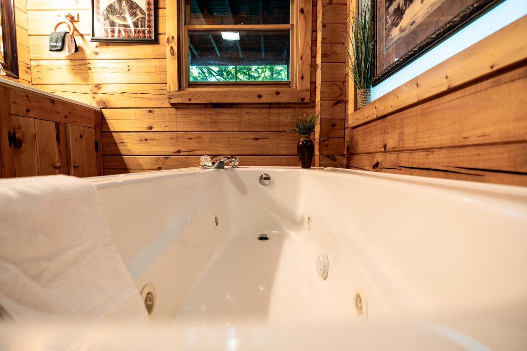 26 Bearfoot Landing Holiday home Gatlinburg