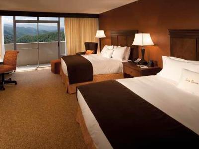 The Park Vista - A Doubletree By Hilton - Gatlinburg