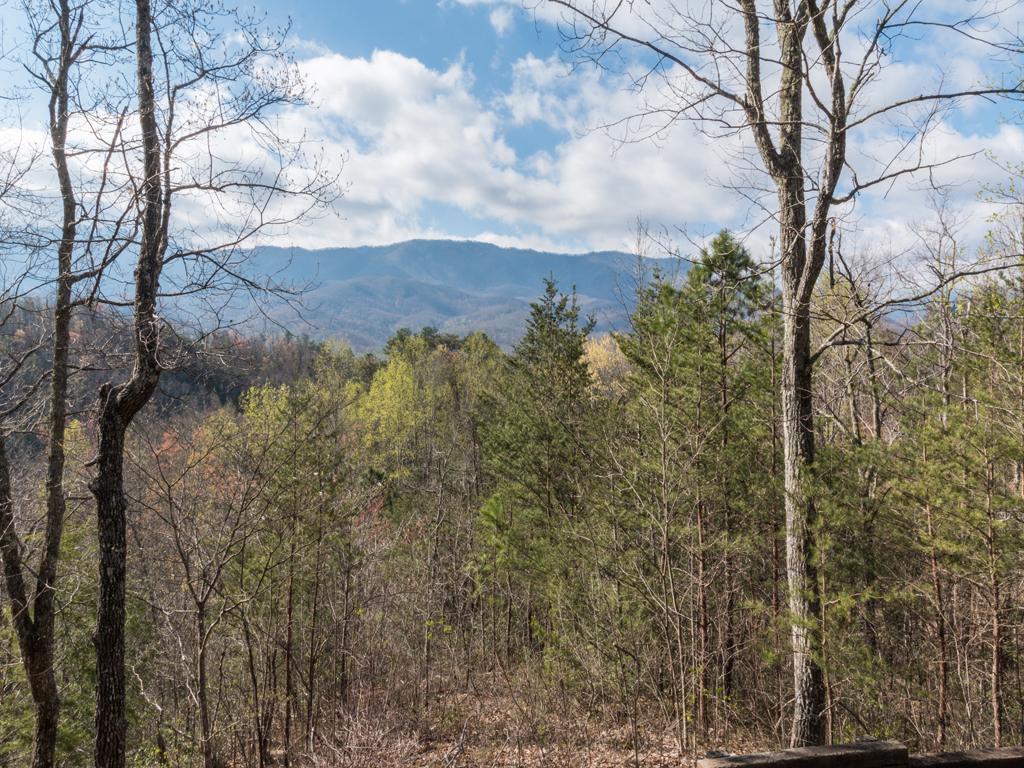 Mountain Charm- Three-bedroom Holiday home