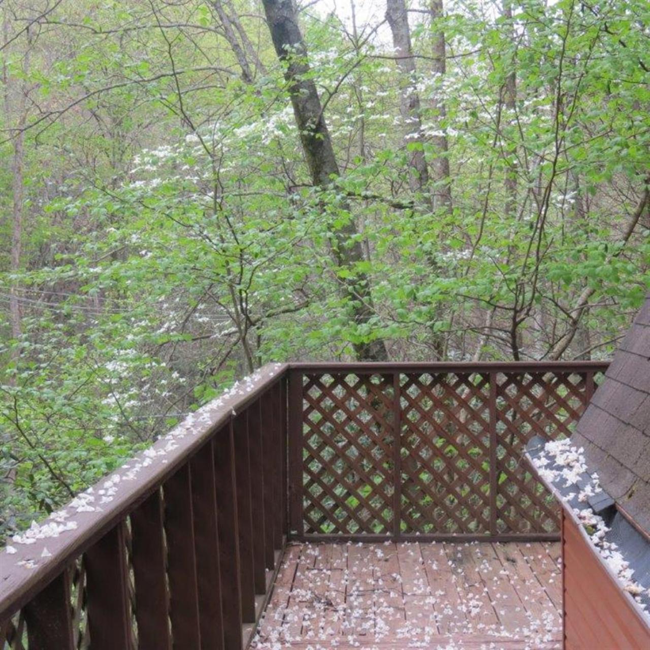 Buckberry Creek Gatlinburg