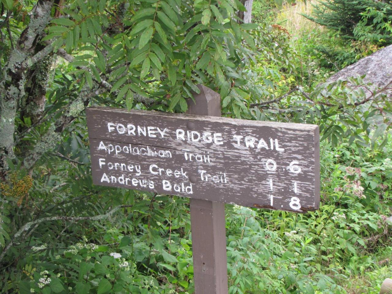 Buckberry Creek