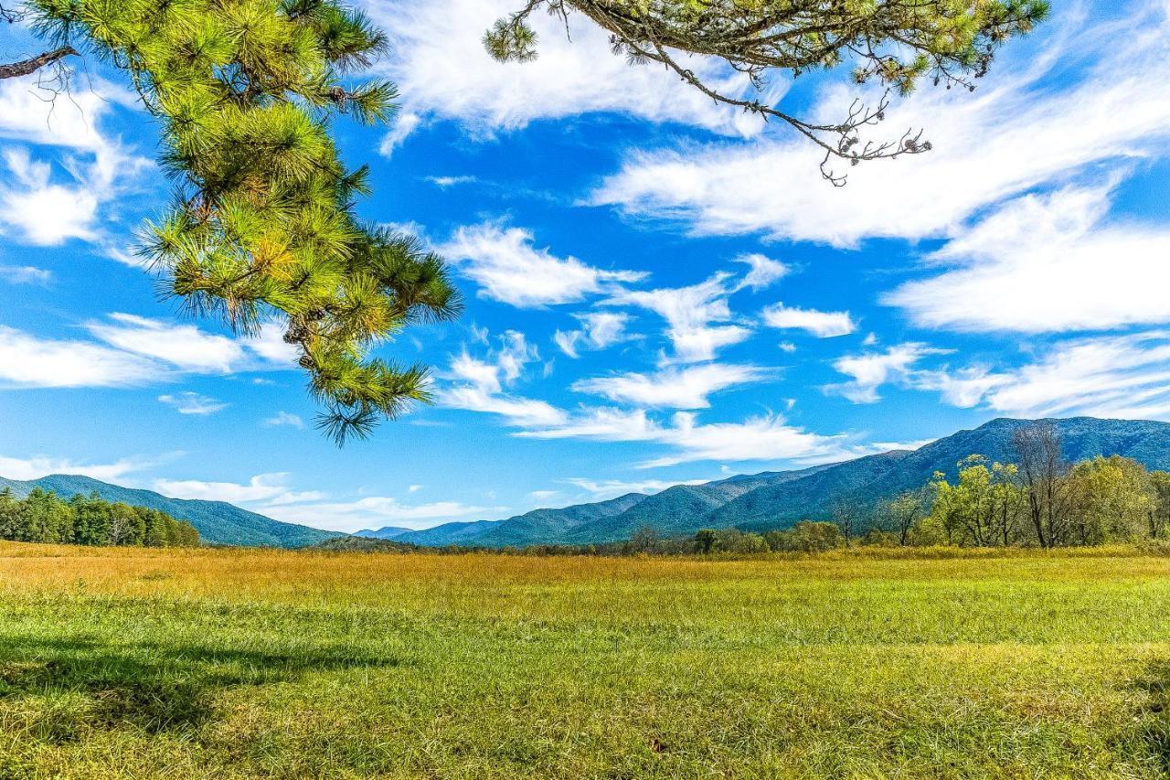 Baskin's Creek Iii Gatlinburg