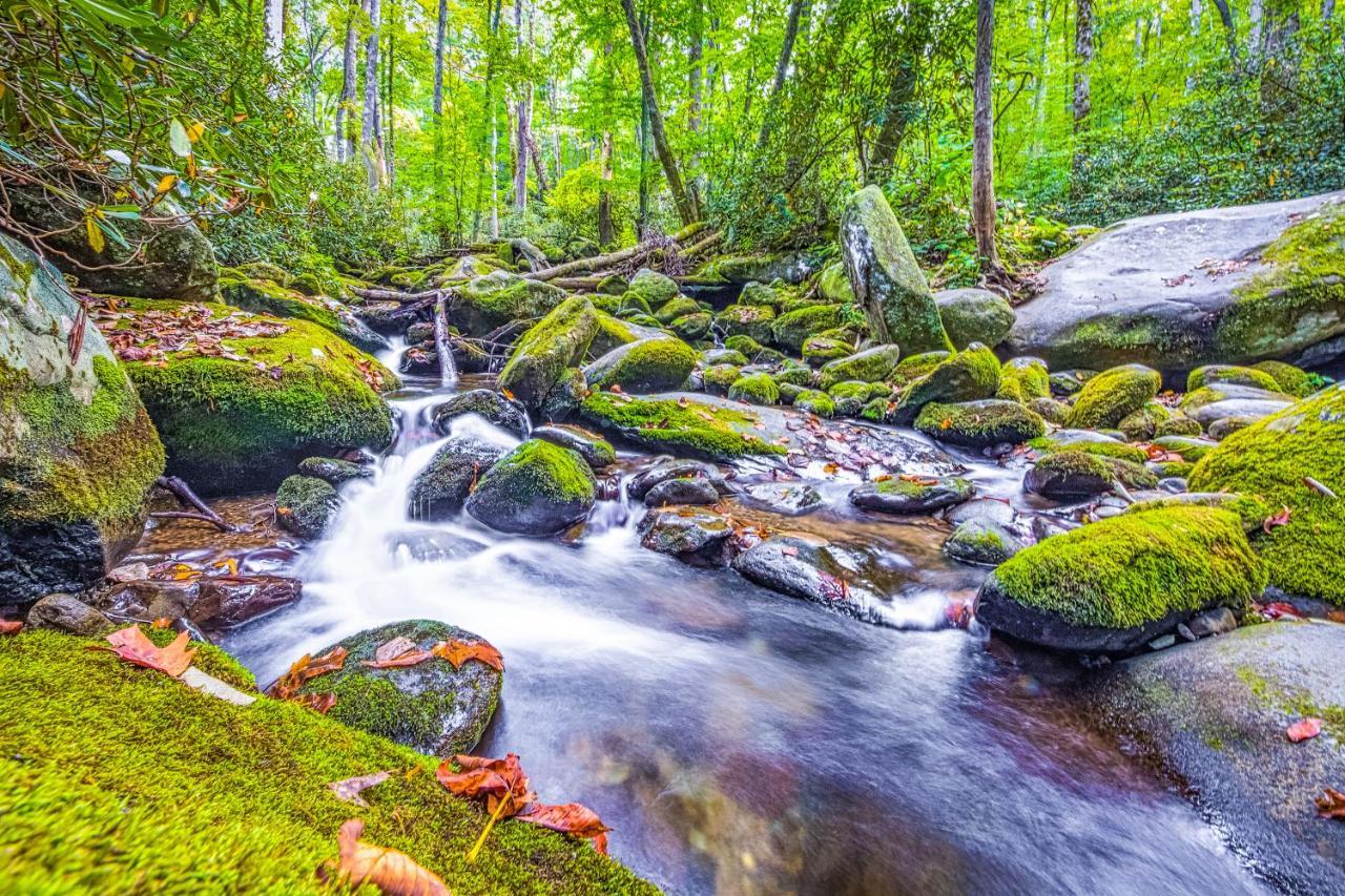 Baskin's Creek Iii Gatlinburg
