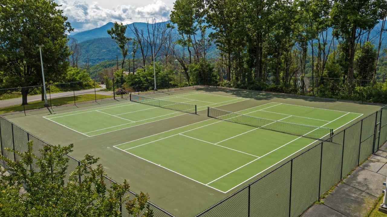Moonshine Chalet, Hot Tub, Pool Access, Wifi, 1089 Free Tickets Each Paid Day, Dollywood And