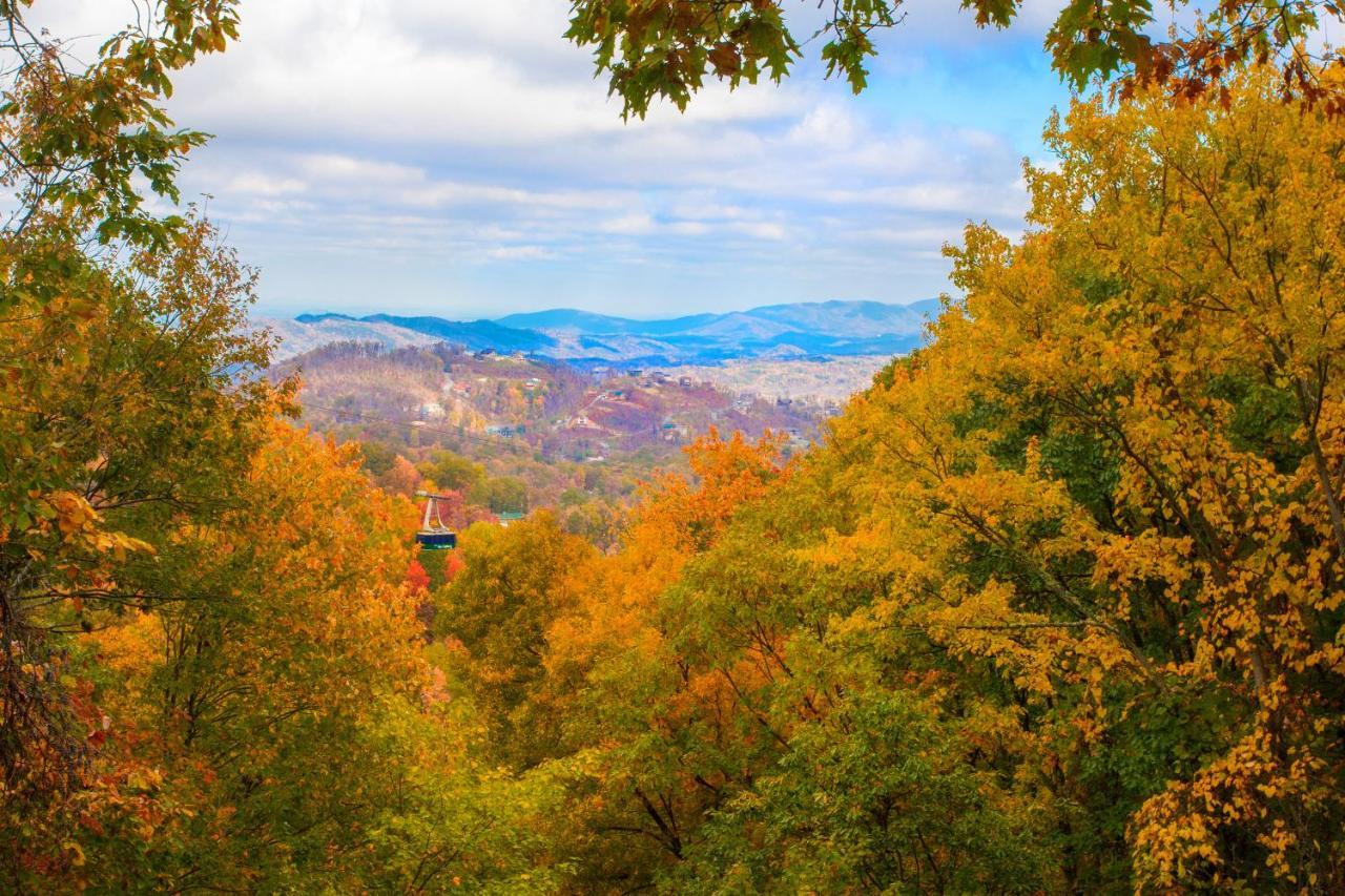 Serenity Heights, Amazing Views, Hot Tub Pool Access, 1089 Free Tickets Each Paid Day, Dollywood * Gatlinburg