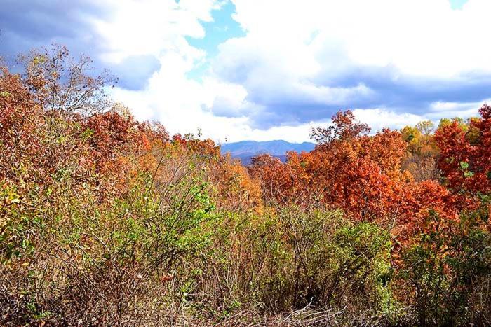 Burnin' * Gatlinburg