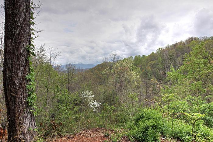 Burnin' Gatlinburg