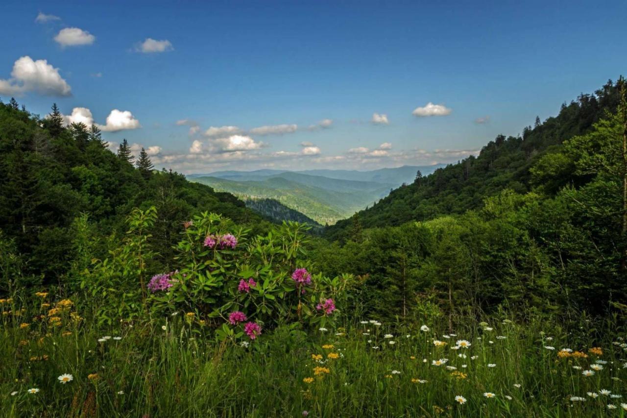 Woods Mountain Holiday home Gatlinburg