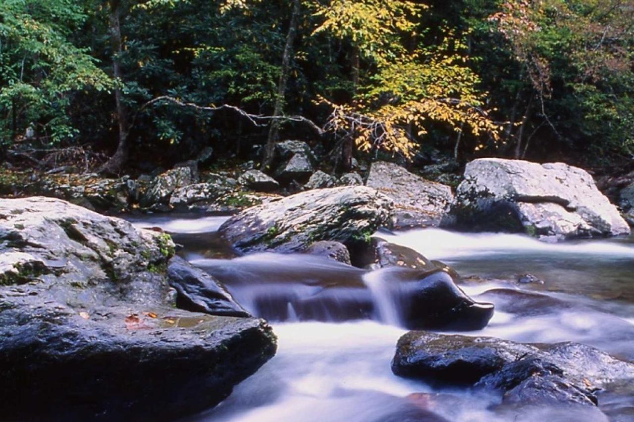 Sweet Serenity Gatlinburg