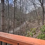 Tree Top Dream Cabin With Hot Tub In Gatlinburg!