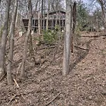 Tree Top Dream Cabin With Hot Tub In Gatlinburg!