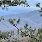 Mountain Love Nest