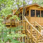 The Cottonwood In Treehouse Grove At Norton Creek