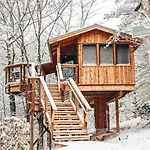 The Cottonwood In Treehouse Grove At Norton Creek
