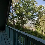 A Bears View