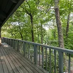 A Bears View