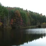 Smoky Heights Overlook, Luxury Log Cabin, Mountain & City Views