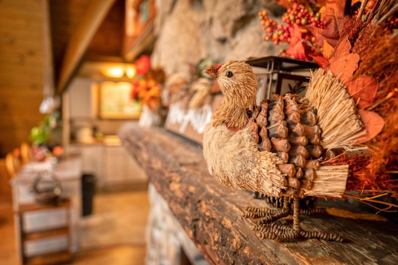 Smoky Bear Hideaway Gatlinburg