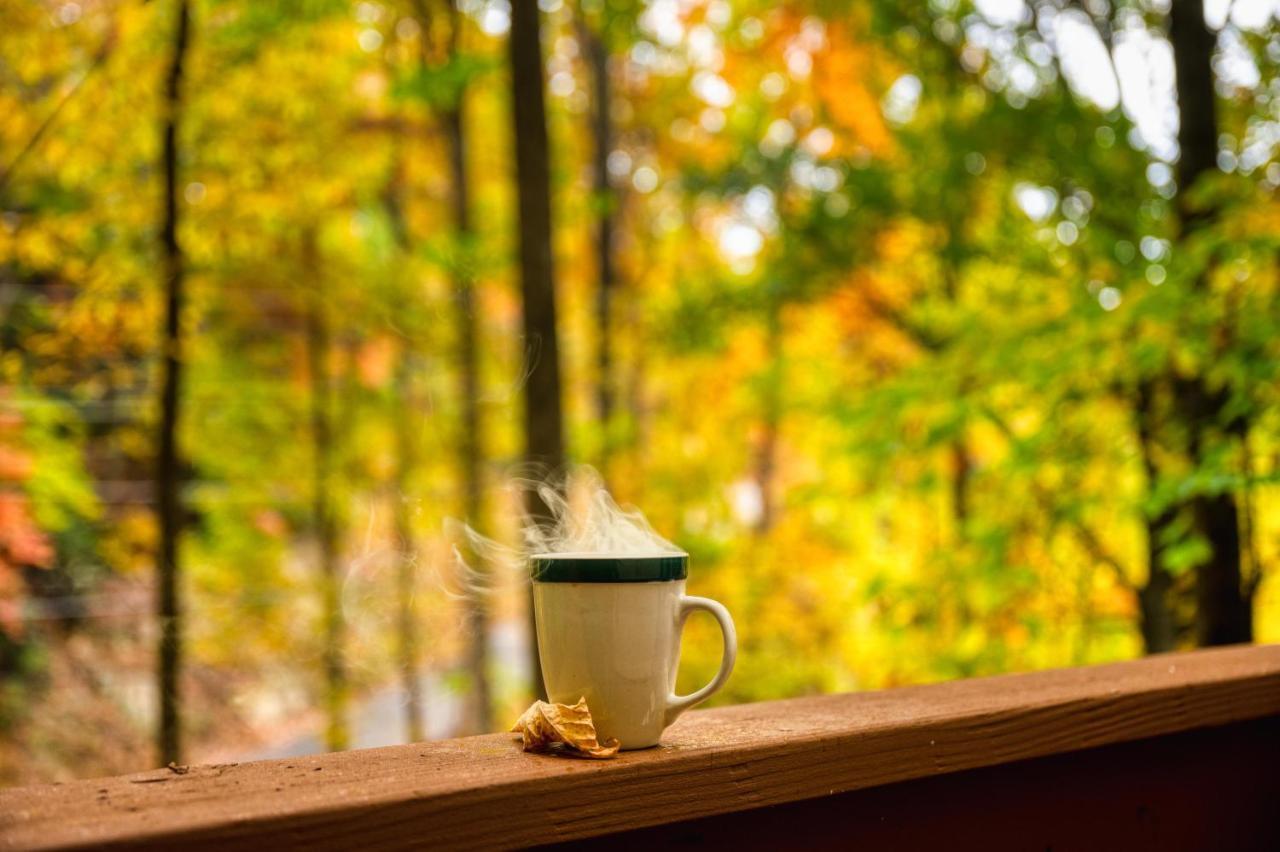 Holiday home Smoky Bear Hideaway *