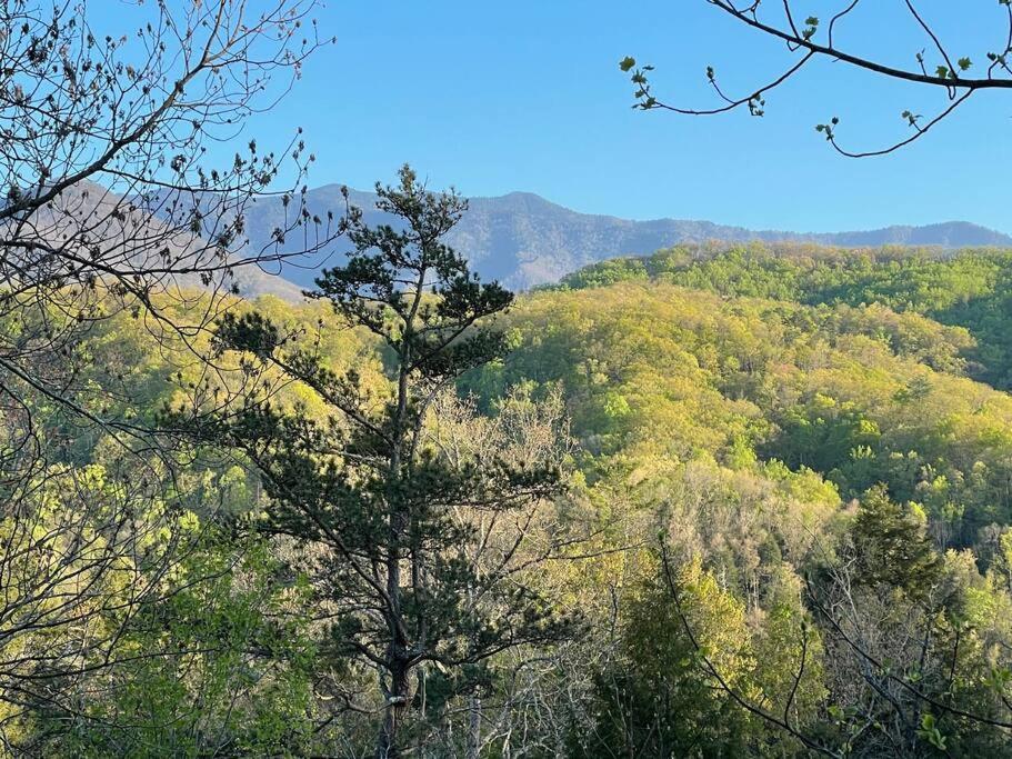 Holiday home Smokies Boutique Cabins: Mountain Retreat With Amenities