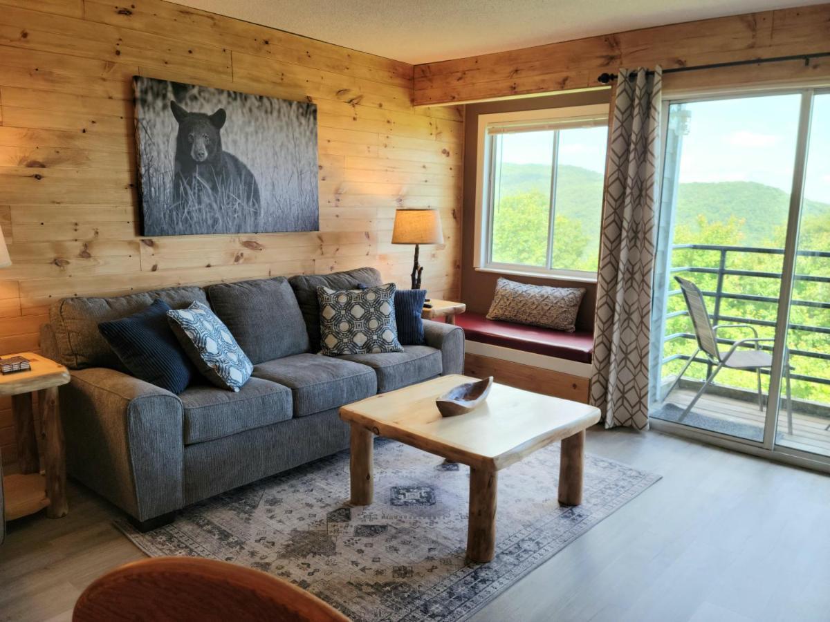 Apartment Mountain Magnificent Views - 2 Pools, Fireplace & Hot Tub *