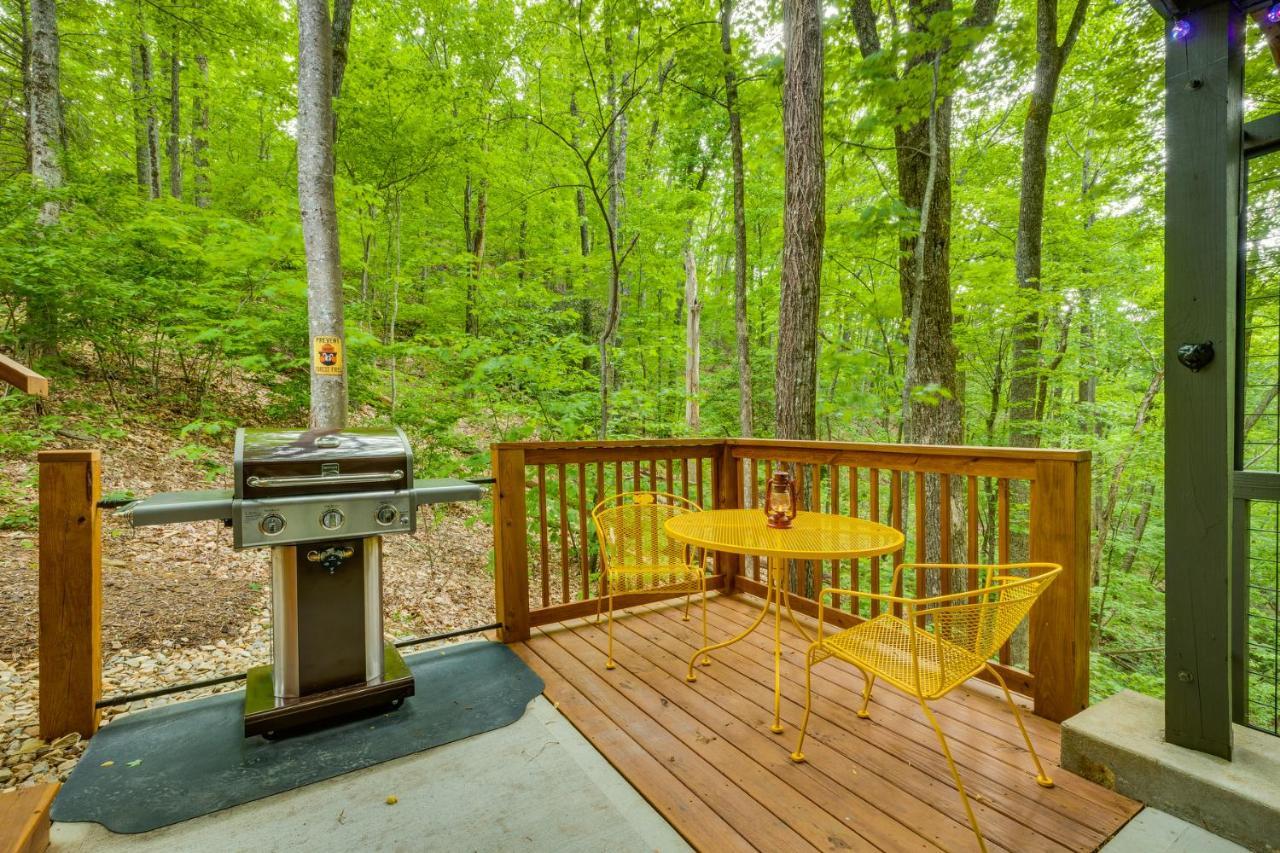 View Bears Holiday home Gatlinburg