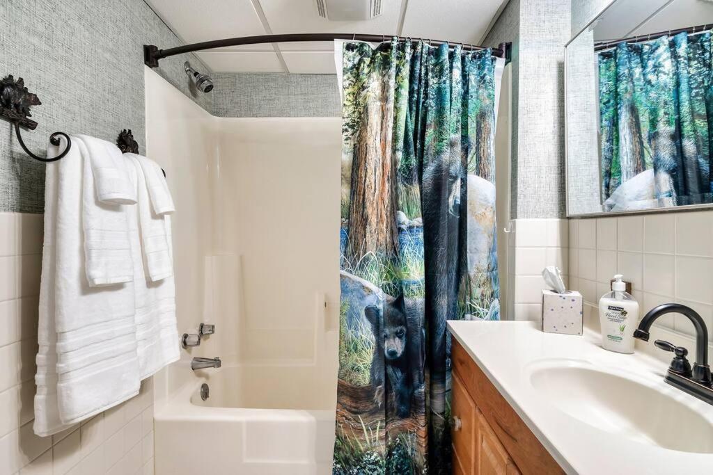 Bear Pause Retreat/steps To Pkwy/with Indoor Pool Apartment *