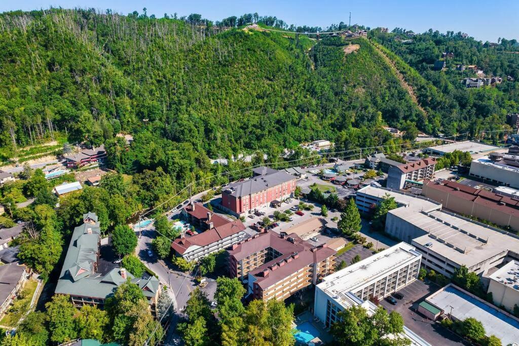 Bear Pause Retreat/steps To Pkwy/with Indoor Pool Apartment Gatlinburg