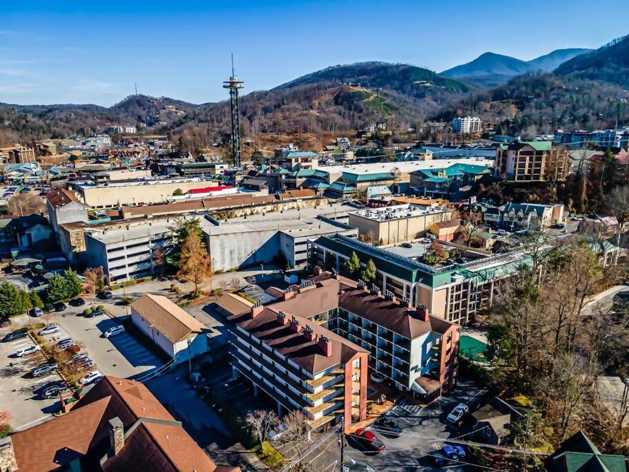 Bear Pause Retreat/steps To Pkwy/with Indoor Pool Gatlinburg