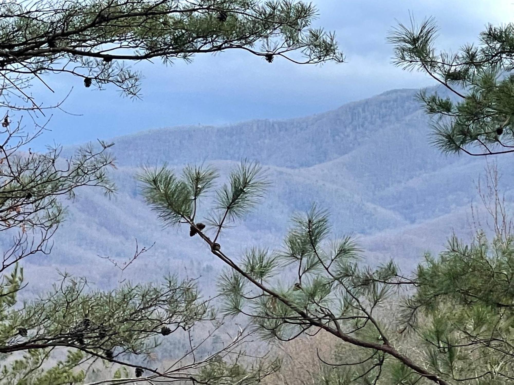 Mountain Nest Holiday home Gatlinburg
