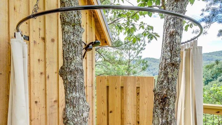 The Cottonwood In Treehouse Grove At Norton Creek *