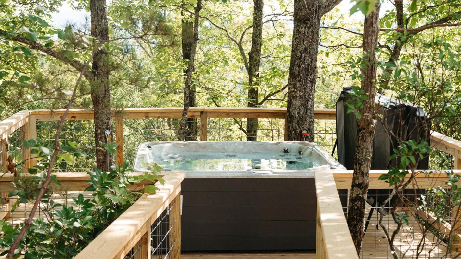 The Cottonwood In Treehouse Grove At Norton Creek