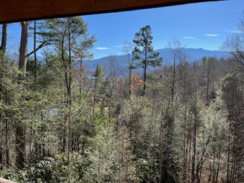 Rocky Top Lodge, 6 Bedrooms, Pool Access, Hot Tub, Mountain View, Sleeps 14